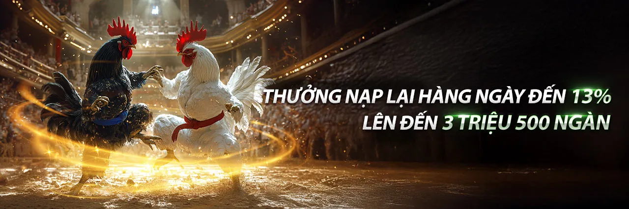 Chương trình đối tác Manclub link mới